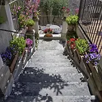 Edel 4*